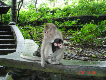 photo 373726