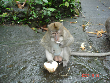 photo 373728