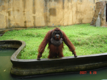 photo 373731
