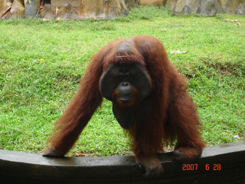 photo 373732