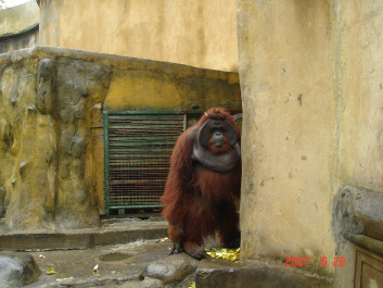 photo 373733