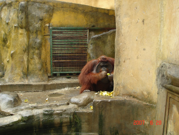 photo 373734
