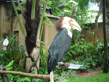 photo 373736