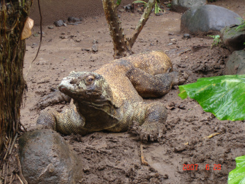 photo 373738