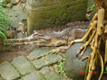 photo 373742