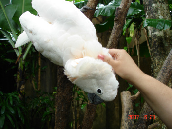 photo 373745
