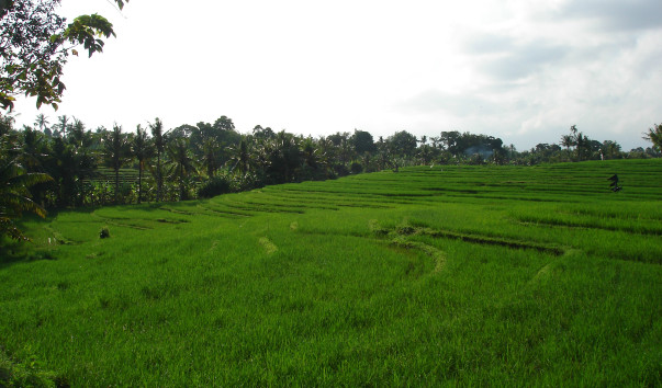 DSC01635