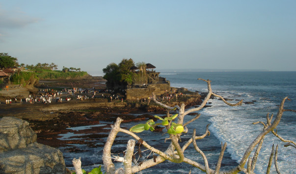 DSC01671