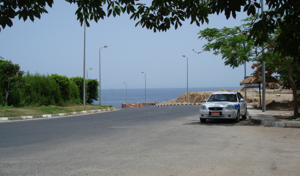 DSC03654