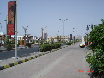 photo 378791