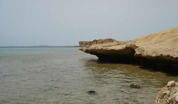 DSC03645