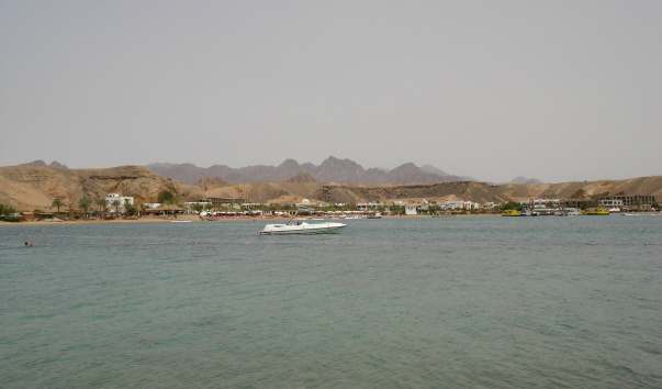 DSC03644
