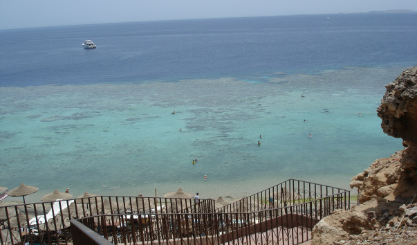 DSC03658