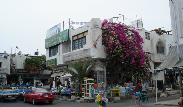 DSC03758