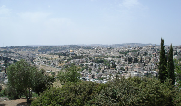 DSC03694