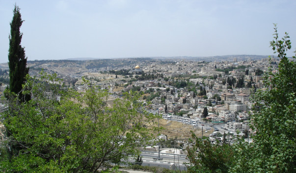 DSC03690