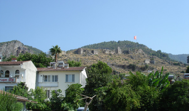 DSC03973