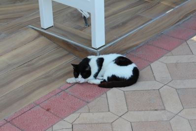 photo 755644