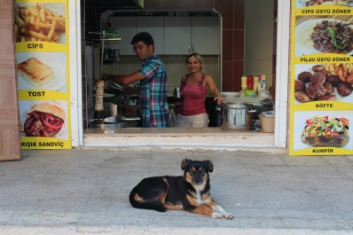 photo 859251