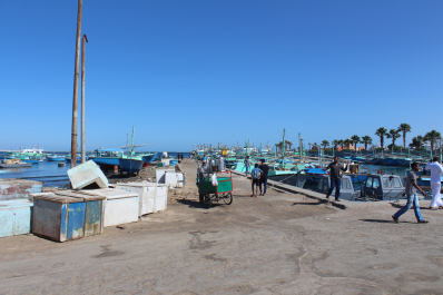 photo 1028739