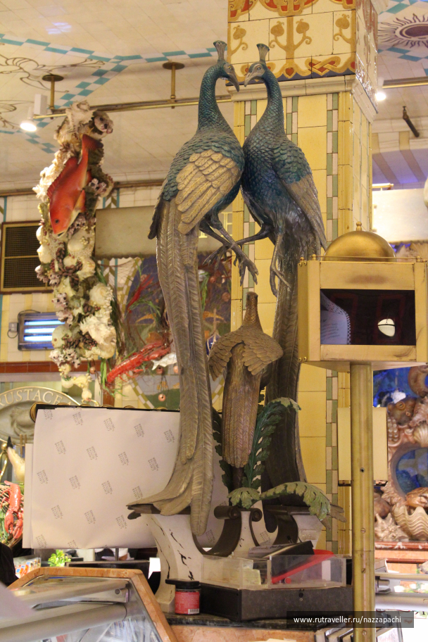 photo 1545955