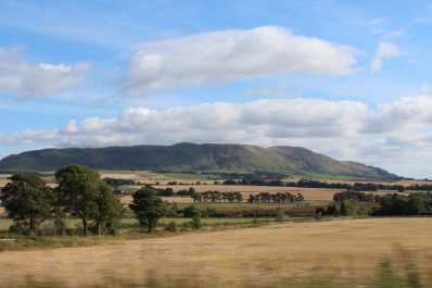 photo 1181566