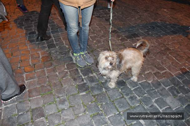 photo 1211028
