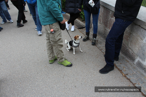 photo 1338059