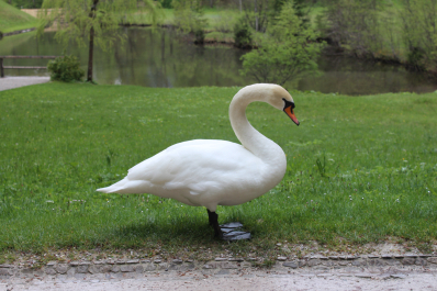 photo 1349241