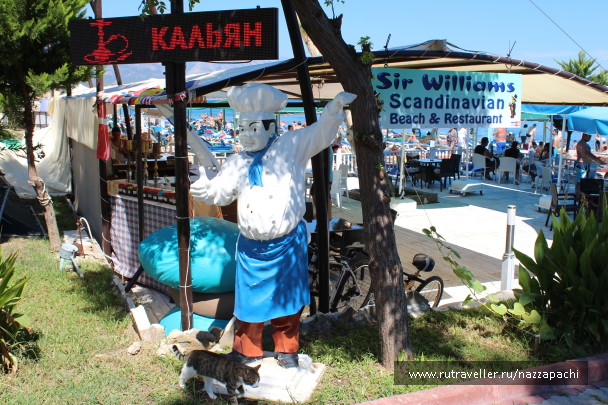 photo 1372216