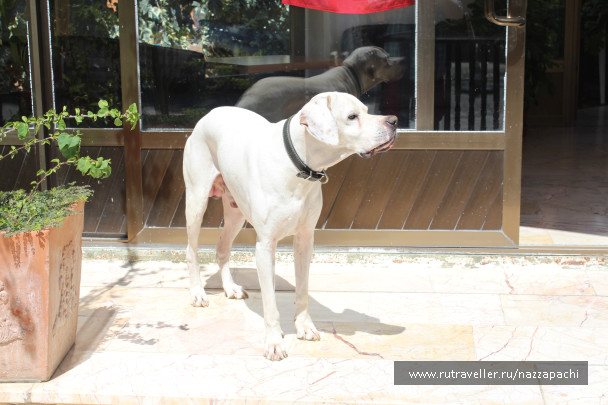 photo 1374051