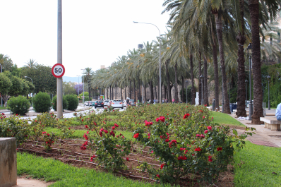 photo 1598897