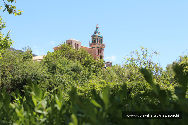 photo 1495197