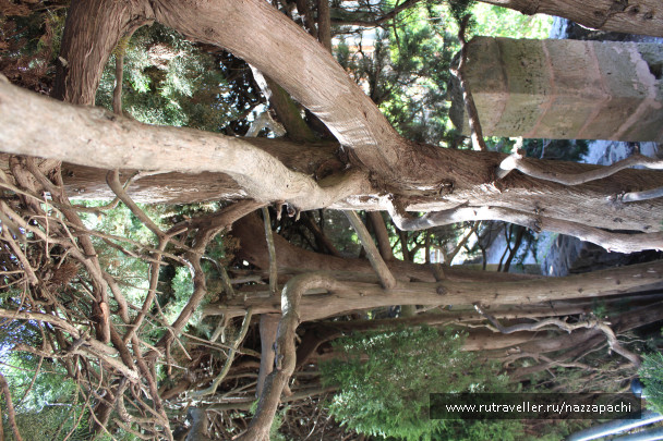 photo 1496516