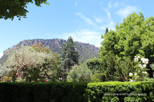 photo 1496524