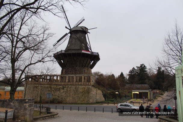 photo 1585180