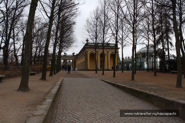 photo 1585181