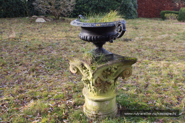 photo 1585182