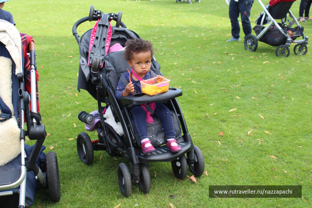 photo 1616976