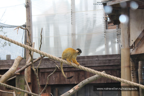 photo 1621544