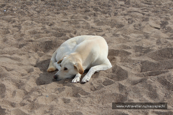 photo 1832243