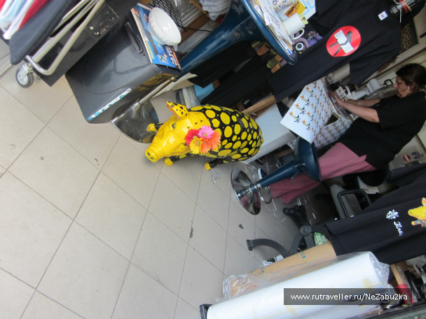 photo 202268