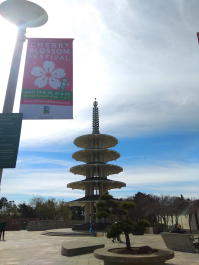 photo 1613552