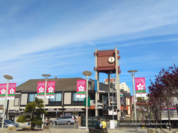 photo 1613553