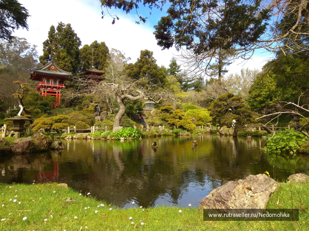 photo 1613597