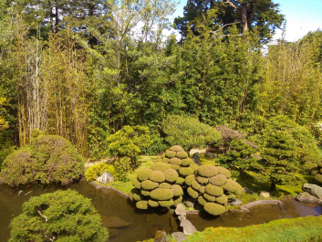 photo 1613602