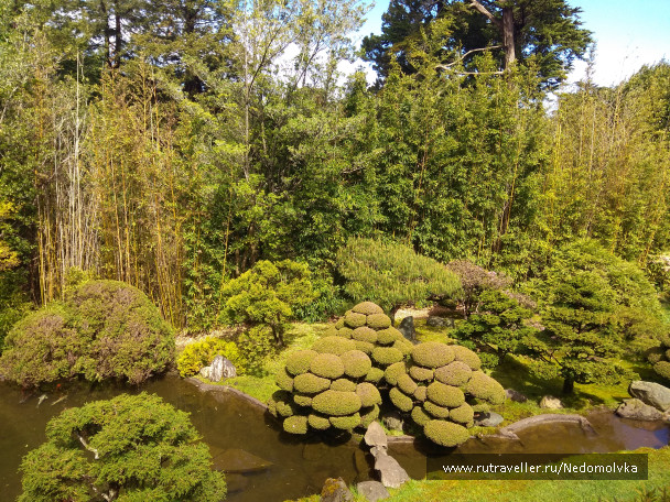 photo 1613602
