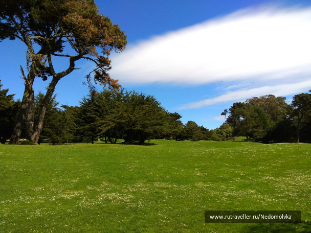 photo 1613684