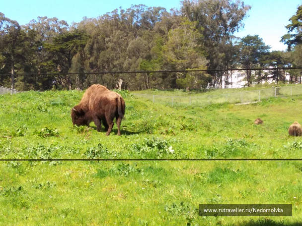 photo 1613685