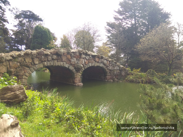 photo 1613688